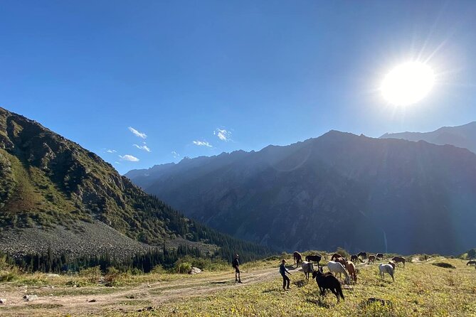Essential Day Trip to Ala Archa National Park - Pickup and the Drive Time That Sets the Tone