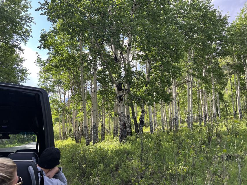 Estes Park: Rocky Mountain National Park Glass-Top Bus Tour - Wildlife spotting: your odds are better when you’re not driving