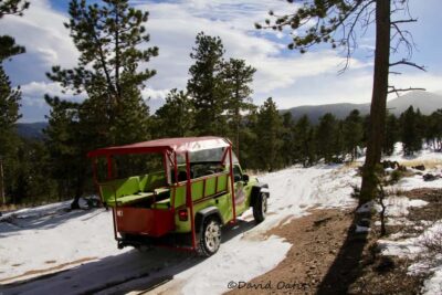 Estes Park: Rocky Mountain National Park Safari Tour - Lowland meadows, aspen groves, and river scenery