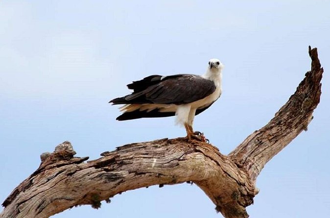 Evening Private Tour Safari at Yala National Park - Comfort Tips for an Evening Ride (So You Enjoy the Wildlife, Not the Hassle)
