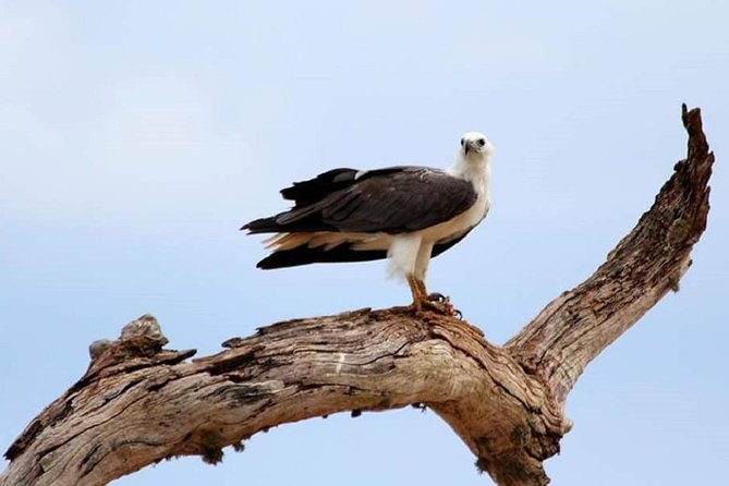 Evening Private Tour Safari at Yala National Park - Price and Value: Is $89 a Good Deal for Yala?