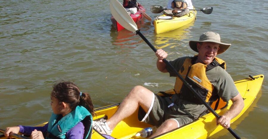 Everglades National Park 3-Hour Kayak Eco Tour - Key things I’d watch for on this Everglades kayak tour