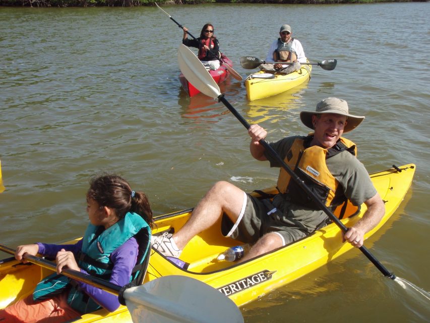 Everglades National Park 3-Hour Kayak Eco Tour - Why Paddle the 10,000 Islands from Chokoloskee?