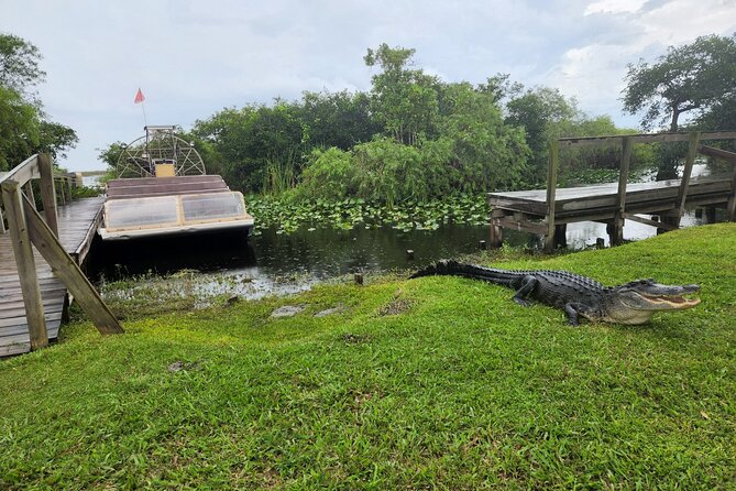 Everglades National Park Biologist Led Adventure: Cruise, Hike + Airboat - Smallwood Store and the history stop you’ll actually remember