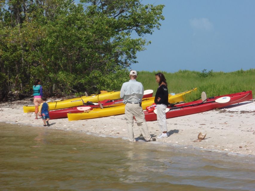 Everglades National Park: Boat Assisted Kayak Eco Tour - Why This Everglades Boat-Assisted Kayak Combo Works