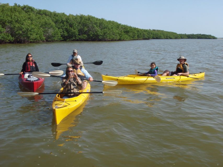 Everglades National Park: Boat Assisted Kayak Eco Tour - Stop 6: The Second Cruise and the Everglades Staying Wild
