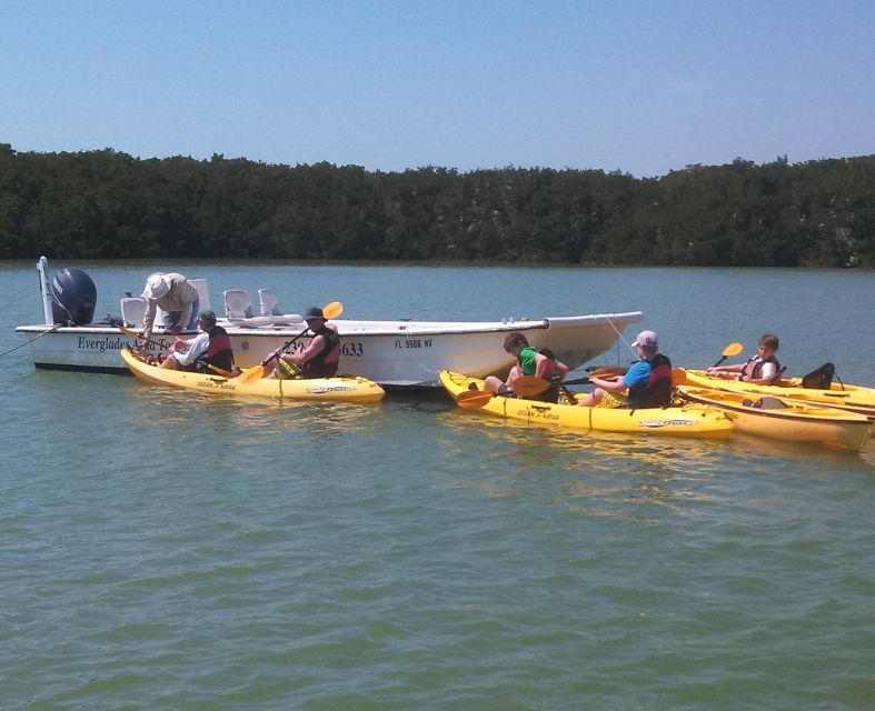Everglades National Park: Boat Assisted Kayak Eco Tour - Price and Value: What $173 Buys in the Everglades