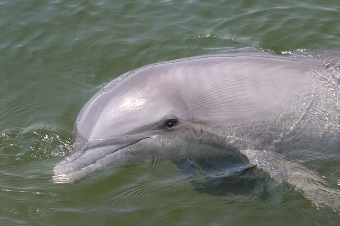 Everglades National Park Boat Tour - Stop 3: Everglades City—history that makes the scenery feel grounded