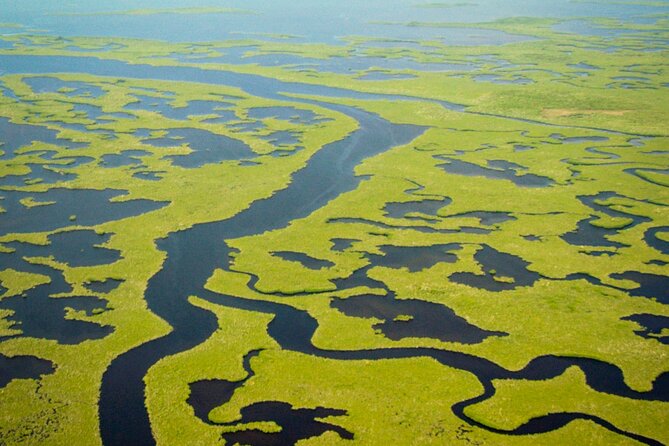 Everglades National Park Boat Tour - Price and value: $60.48 isn’t the full cost