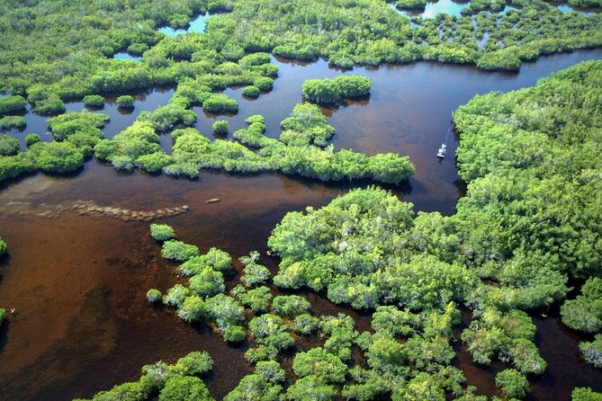 Everglades National Park Boat Tour - Who should book this Everglades boat tour?