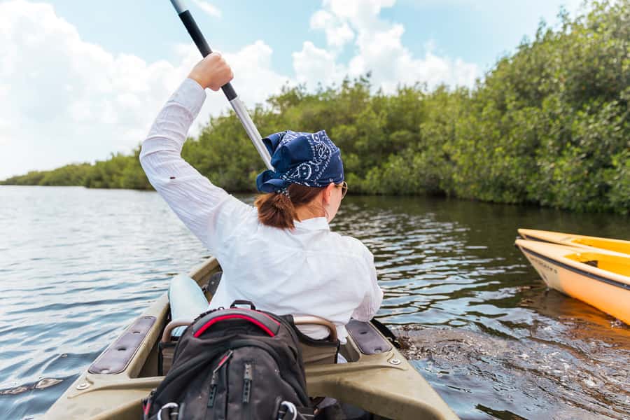 Everglades National Park: Mangrove Tunnel Kayak Eco-Tour - Mangrove Tunnel Kayak Eco-Tour: What you’re really doing out there
