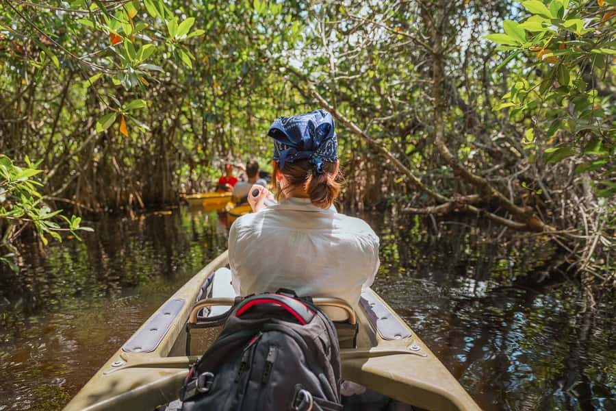 Everglades National Park: Mangrove Tunnel Kayak Eco-Tour - Kayaks, gear, and pacing: Comfortable seats and an easy rhythm