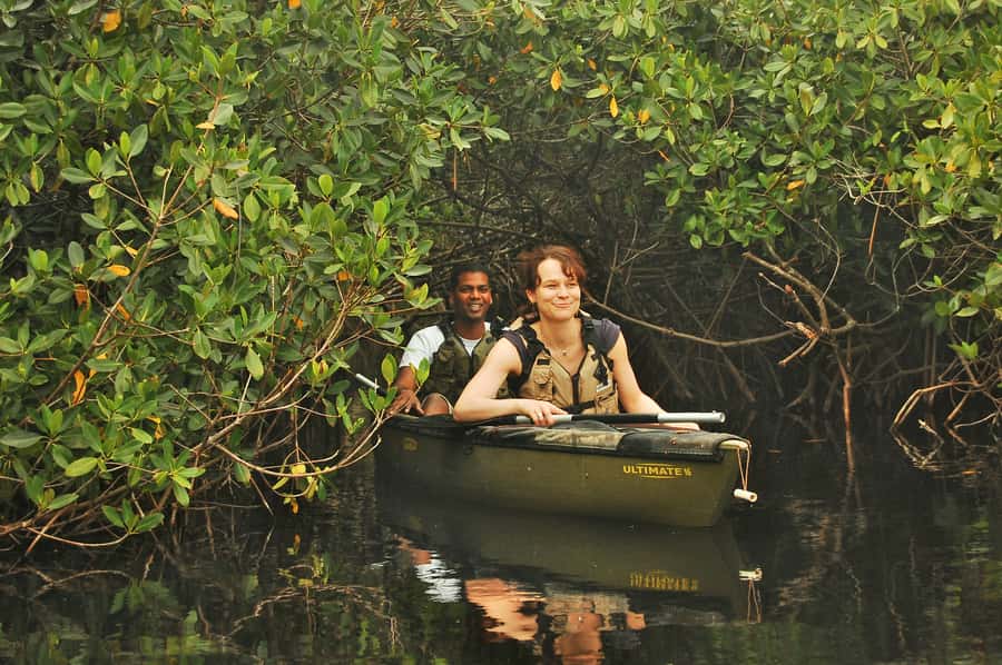 Everglades National Park: Mangrove Tunnel Kayak Eco-Tour - The 32016 Tamiami Trail E meetup: Plan for a quick start