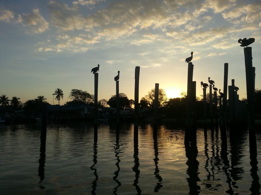Everglades National Park: Motorboat Eco Tour - Key points I’d prioritize before booking