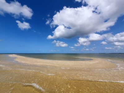 Everglades National Park: Motorboat Eco Tour - Gliding Through the 10,000 Islands: What the Ride Really Feels Like