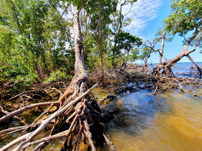 Everglades National Park: Motorboat Eco Tour - Captain Josh and Why Small Groups Matter