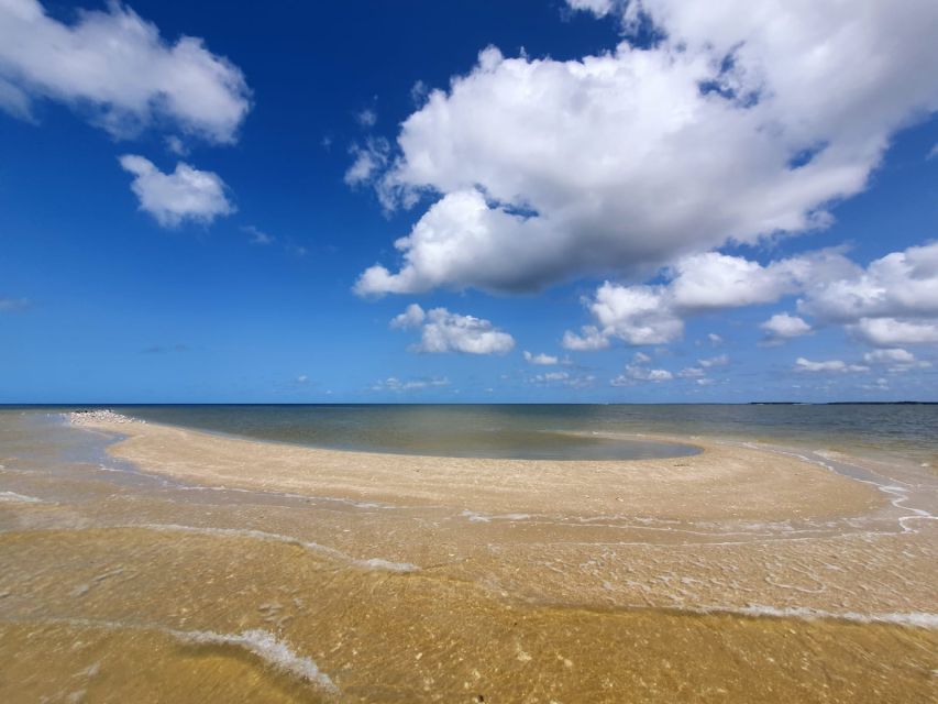Everglades National Park: Motorboat Eco Tour - Gliding Through the 10,000 Islands: What the Ride Really Feels Like