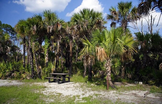 Everglades National Park Naturalist Led Hike, 2 Boat Trips + More - Key things that make this Everglades day tick