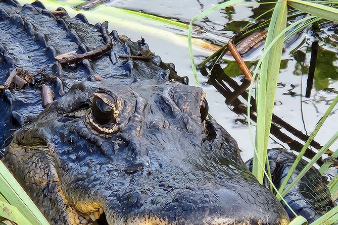 Everglades National Park Naturalist Led Hike, 2 Boat Trips + More - Old Florida interludes: Ochopee Post Office, Smallwood Store, Everglades City