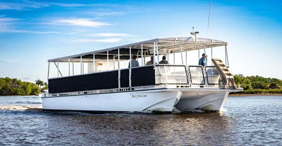 Everglades National Park: Pontoon Boat Tour & Boardwalk - The 90-minute boat tour: Ten Thousand Islands wildlife time