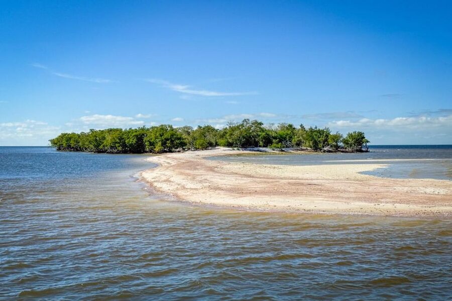 Everglades National Park: Pontoon Boat Tour & Boardwalk - The Everglades City boardwalk: mangroves up close