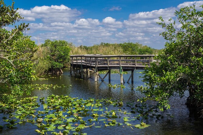 Everglades National Park: Self Guided Driving Audio Tour - Should you book this Everglades self-guided driving audio tour?