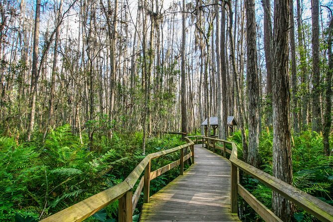 Everglades National Park: Self Guided Driving Audio Tour - How the audio tour works on your phone (and why that matters)