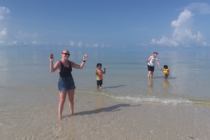 Everglades Small Group Guided Boating and Walking Expedition - Key points to know before you go