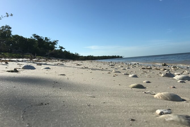 Everglades Small Group Guided Boating and Walking Expedition - Step onto a barrier island beach when conditions allow