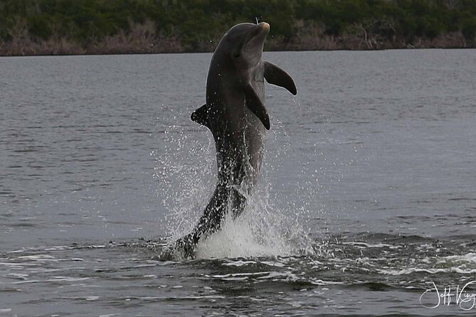 Everglades Small Group Guided Boating and Walking Expedition - Guide expertise: what you gain besides photos