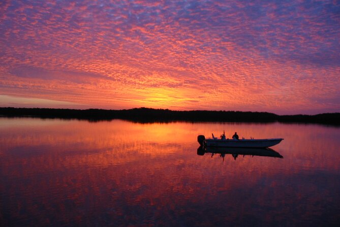 Everglades Small Group Guided Boating and Walking Expedition - The boat portion: what the quiet ride feels like