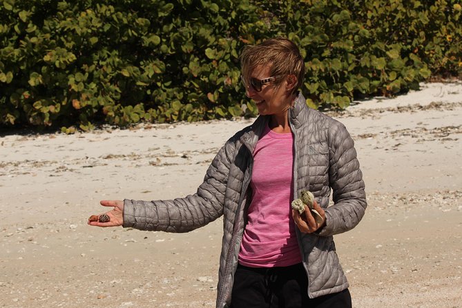 Everglades Small Group Guided Boating & Walking Tour Expedition - The guide’s job: animals, mangroves, tides, and the people behind it