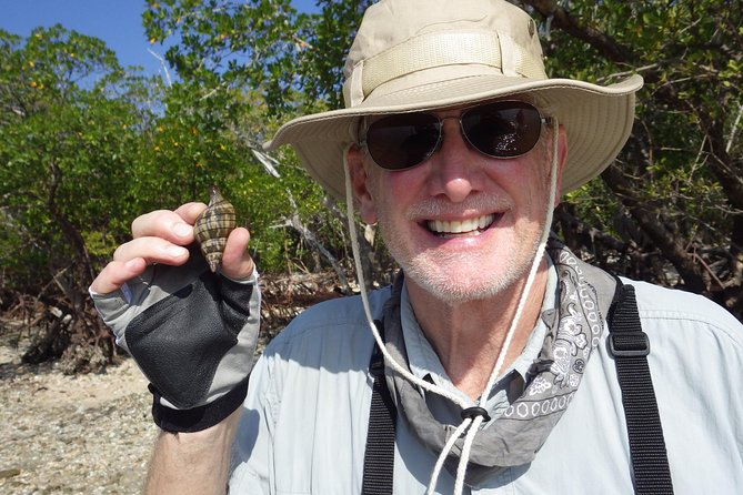 Everglades Small Group Guided Boating & Walking Tour Expedition - Wildlife odds by season and time of day