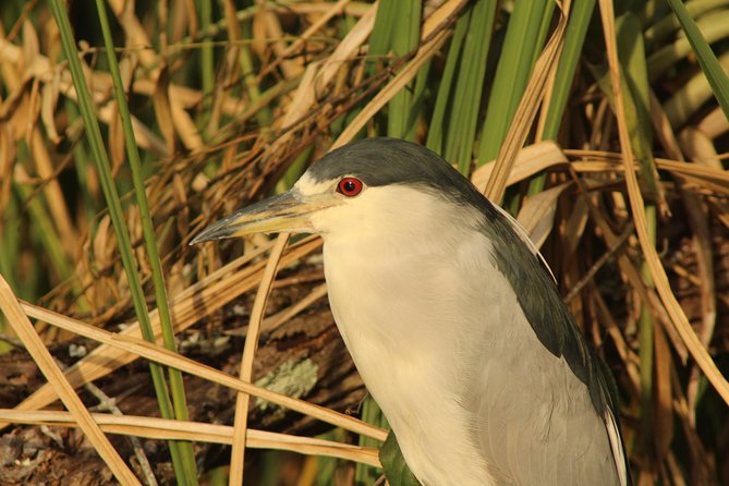 Everglades Small Group Guided Boating & Walking Tour Expedition - Getting on board and being comfortable on a six-passenger boat