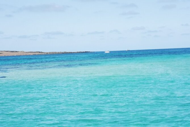 Excursion to Asinara Stintino La Pelosa National Park - Stop 1: Asinara Natural Pools Swim Session (50 Minutes)