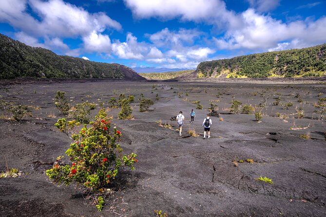 Expert Led Private Guided Tour Hawaii Volcanoes National Park - Friends of Hawai‘i Volcanoes Institute Guides Make the Park Feel Personal