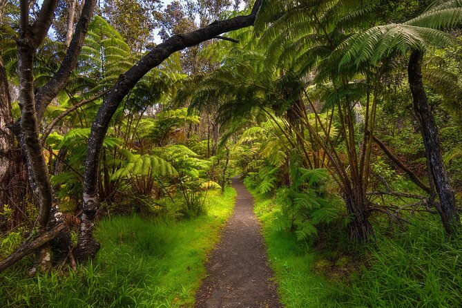Expert Led Private Guided Tour Hawaii Volcanoes National Park - Stop 1 at Hawai‘i Volcanoes National Park: Your Custom Welcome