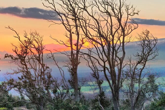 Expert Led Private Guided Tour Hawaii Volcanoes National Park - Nahuku–Thurston Lava Tube: A 500-Year-Old Walk Underground