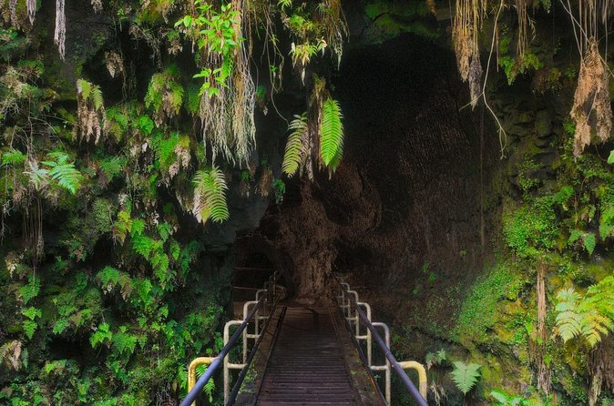 Expert Led Private Guided Tour Hawaii Volcanoes National Park - Timing and Weather: Why Your Day Might Shift