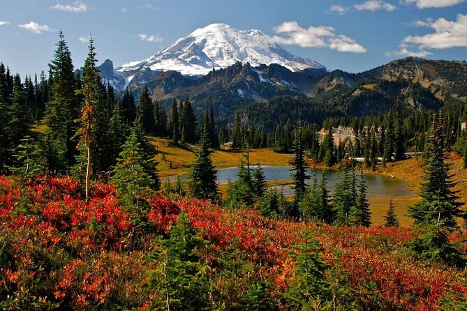 Explore Mt. Rainier National Park with a Local Guide - Key things that make this tour work