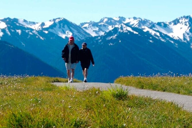 Explore Olympic National Park from Seattle through Van /Ferry - Enter Seattle-to-Olympic with a ferry ride