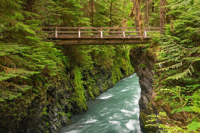 Explore Olympic National Park from Seattle through Van /Ferry - Olympic Game Farm: the animals are fun, but budget entrance