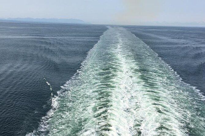 Explore Olympic National Park from Seattle through Van /Ferry - Guides, group size, and the vibe inside the van
