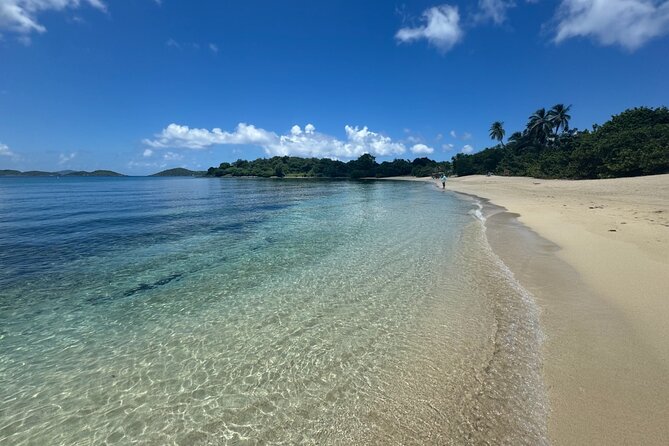 Explore St. John, Beaches and National Park Private Tour - A four-door Jeep Wrangler tour built for St. John’s steep roads