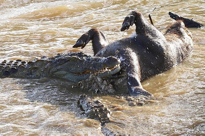 Explore The Beauty Of Udawalawe National Park From South Coast During 01 Day - Timing and What to Pack for a Smooth Day