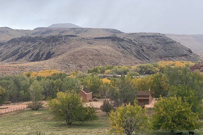Explore Zion National Park & Beyond on a Private Jeep Adventure - Kolob Terrace Road and the optional 30-minute petroglyph hike