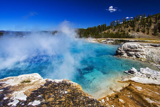 Family Friendly Private Tour at Yellowstone National Park w/Lunch - The Roosevelt Arch and Mammoth Hot Springs timing that works for kids