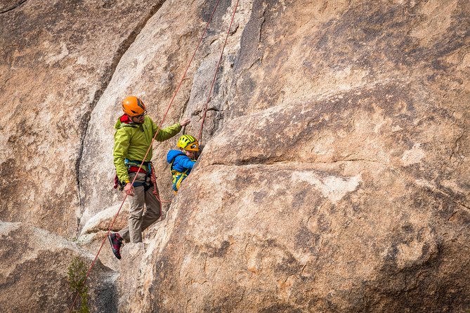 Family Rock Climbing Trips in Joshua Tree National Park (4 Hours) - Certified safety plus a guide who knows how kids learn