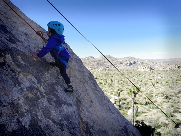 Family Rock Climbing Trips in Joshua Tree National Park (4 Hours) - What you’re paying for: $255 for a private 4-hour climb