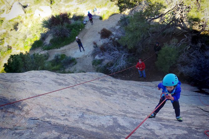 Family Rock Climbing Trips in Joshua Tree National Park (6 Hours) - Meeting Up In Joshua Tree: What To Expect Before You Climb